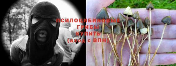 каннабис Алексеевка