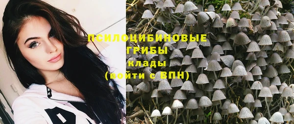 твердый Алзамай